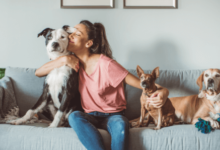 Pet Sitting Services for Safe and Loving Pet Care