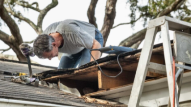 What Roofers Say About Storm Damage and Insurance Claims