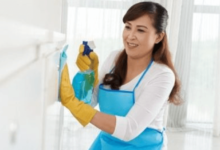 Domestic Helper Employment Services: A Comprehensive Guide