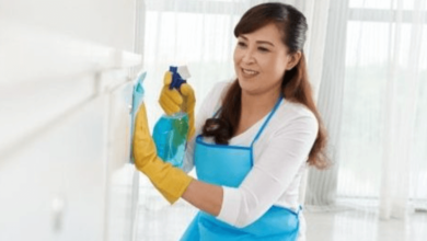 Domestic Helper Employment Services: A Comprehensive Guide