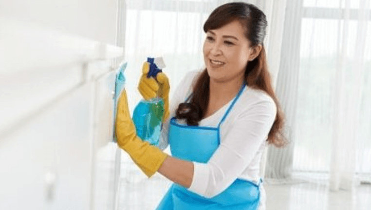 Domestic Helper Employment Services: A Comprehensive Guide