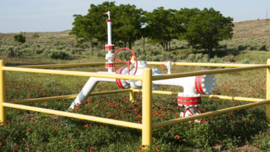 Intrastate Pipelines: The Vital Arteries of State Energy Infrastructure