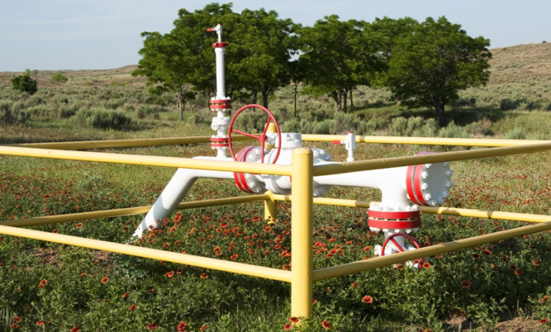 Intrastate Pipelines: The Vital Arteries of State Energy Infrastructure
