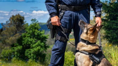 How To Become A Police K9 Trainer