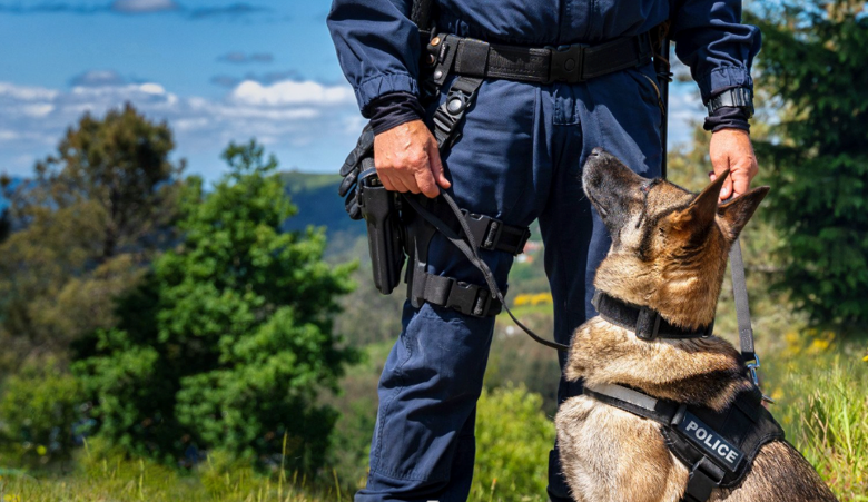 How To Become A Police K9 Trainer