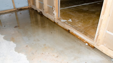 Could Your Gutters Be Causing Water in the Basement?
