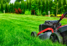 Why Professional Lawn Maintenance is Essential for a Thriving Landscape