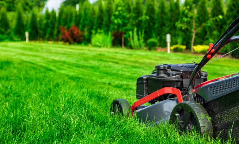 Why Professional Lawn Maintenance is Essential for a Thriving Landscape