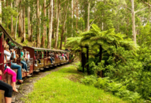 Top 3 Melbourne Travel Attractions Tourists Love