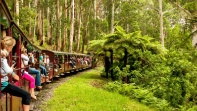 Top 3 Melbourne Travel Attractions Tourists Love