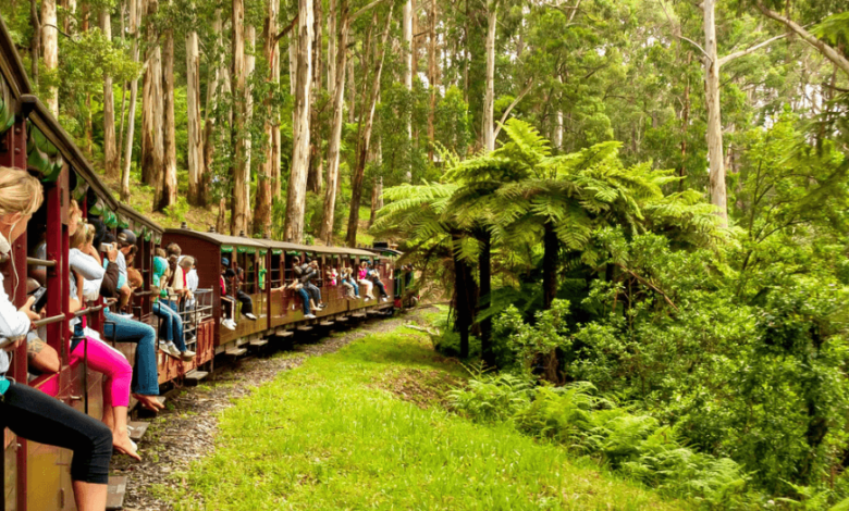 Top 3 Melbourne Travel Attractions Tourists Love