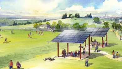 Role in Community Solar