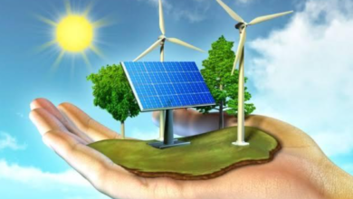 The Role of Renewables in Combating Climate Change