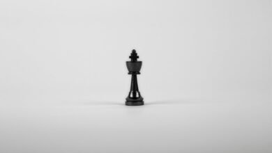 corporate decision intelligence registry