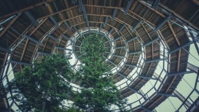 corporate growth intelligence analysis