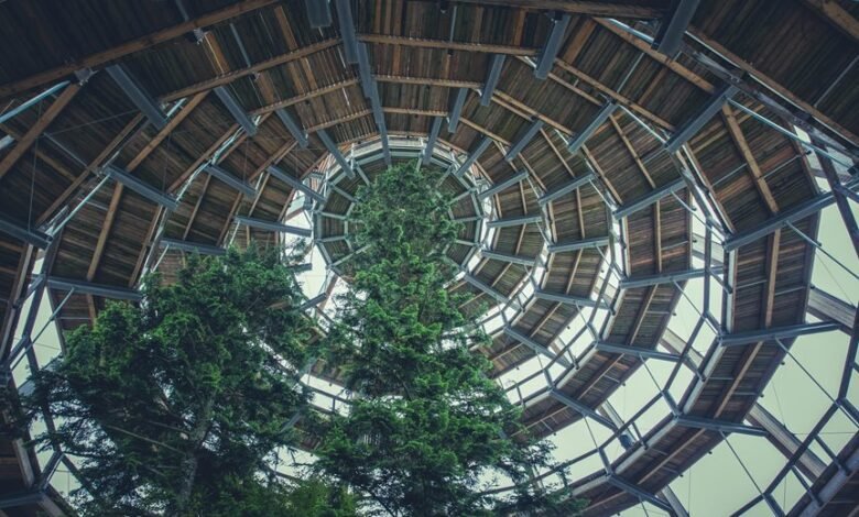 corporate growth intelligence analysis