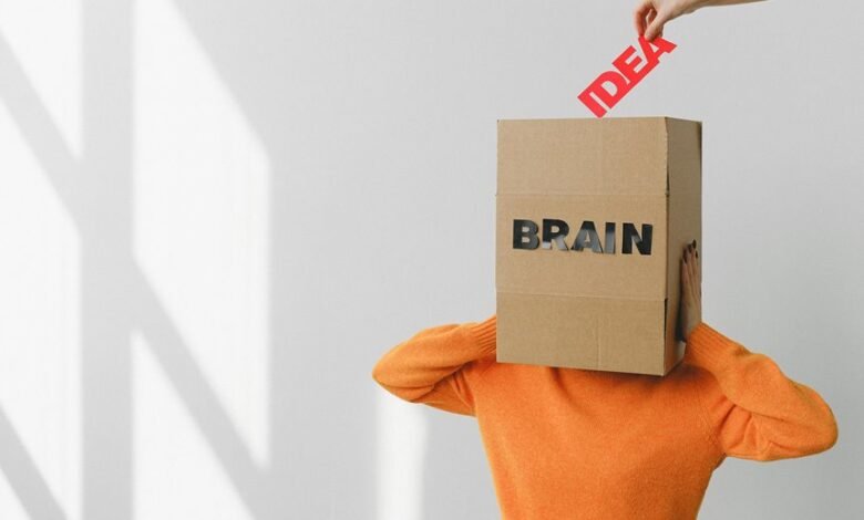 organisational strategy for insights