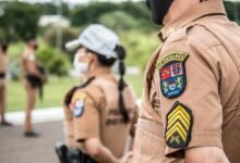 brand authority ranking guide insights