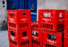 digital growth maximization guide 2545032009