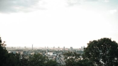 horizon conversion advantage unique