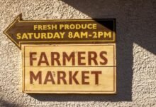 market engine marketing guide details