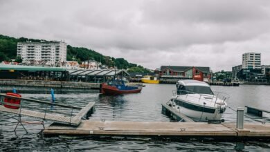 omnibridge voice dock outreach