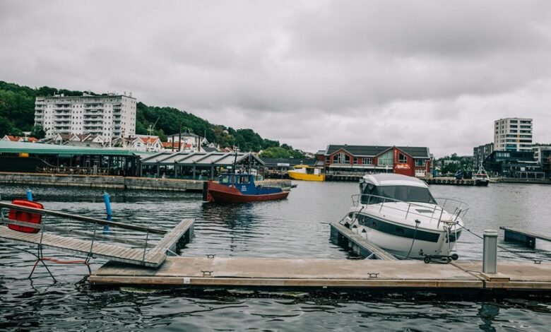 omnibridge voice dock outreach