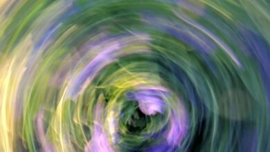 vortex flow market lane