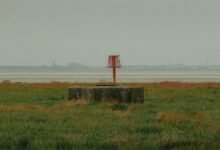 elevate online beacon lens