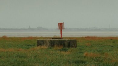 elevate online beacon lens