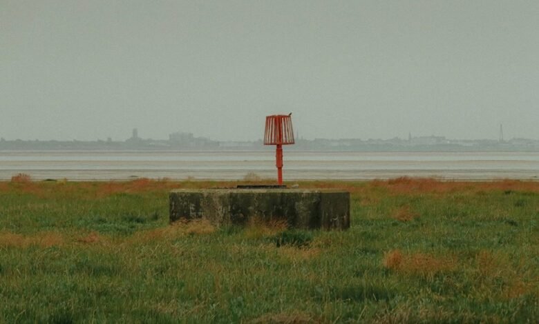 elevate online beacon lens