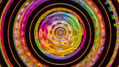 maximize conversions lens pulse