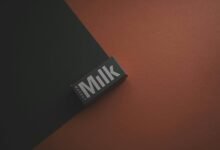 pioneer branding pulse lens