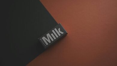 pioneer branding pulse lens