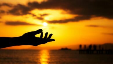 pioneer reach 7146059251 prism horizon