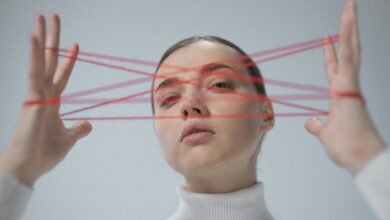 technical string identifiers and model