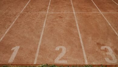 access number tracking profiles for multiple numbers