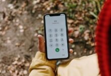 list of phone numbers