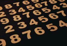 list of several phone numbers provided