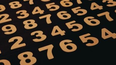 list of several phone numbers provided