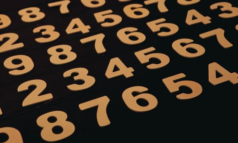 list of several phone numbers provided
