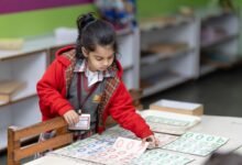 number registry activity for five numbers