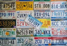 number registry entries 3318590984 3421089762 3509565698 3703686046 3894548760