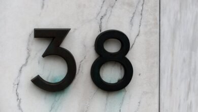 number registry insights for specified ids