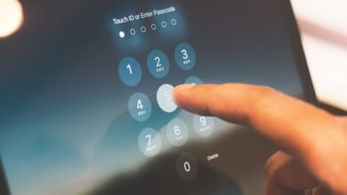 phone numbers for identity lookup analysis