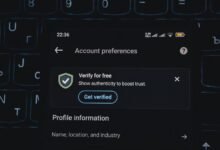 phone verification numbers listed