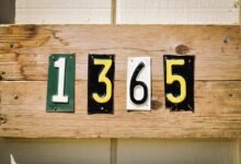 registry lookup numbers for five ids