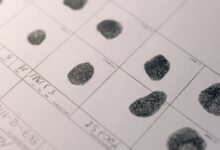registry lookup records for listed numbers