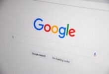 registry search results identifiers listed