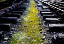 track registry search history ids